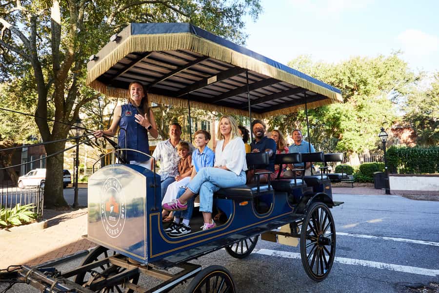 Charleston: Downtown Horse-Drawn Carriage Tour - Who will enjoy this Charleston carriage ride?