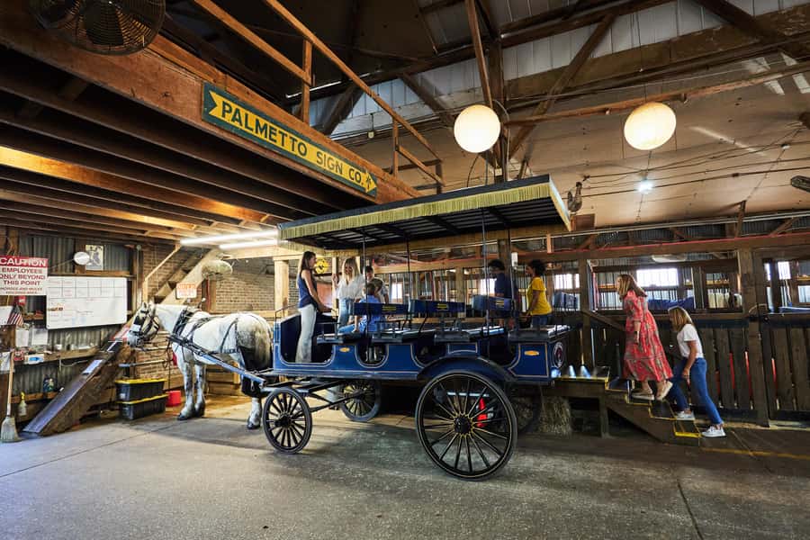 Charleston: Downtown Horse-Drawn Carriage Tour - One hour through Charleston’s residential core