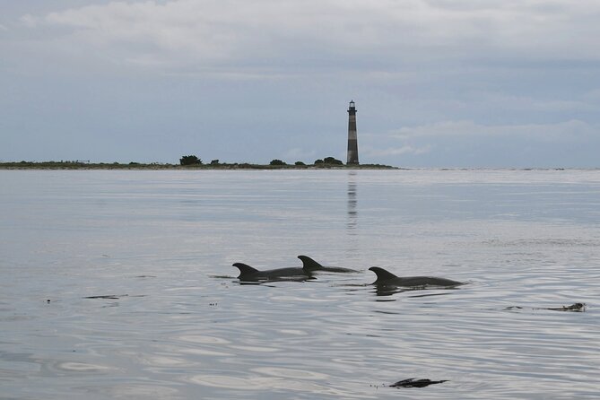 Charleston Eco Boat Cruise with stop at Morris Island Lighthouse - Leaving Bowens Island for the tidal creeks