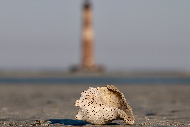 Charleston Eco Boat Cruise with stop at Morris Island Lighthouse - Who will get the most from this cruise