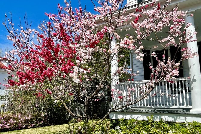 Charleston History Tour / - Starting at Broad Street and Charleston’s civic story