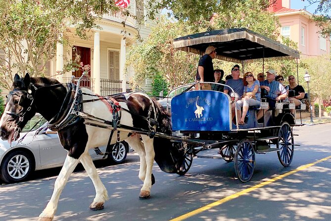 Charleston Horse & Carriage Historic Sightseeing Tour - The Battery and White Point Gardens