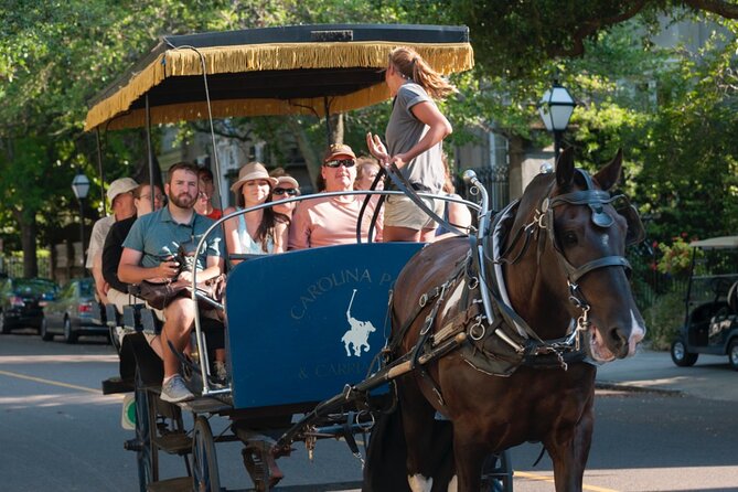 Charleston Horse & Carriage Historic Sightseeing Tour - Rainbow Row and Charleston’s famous façades