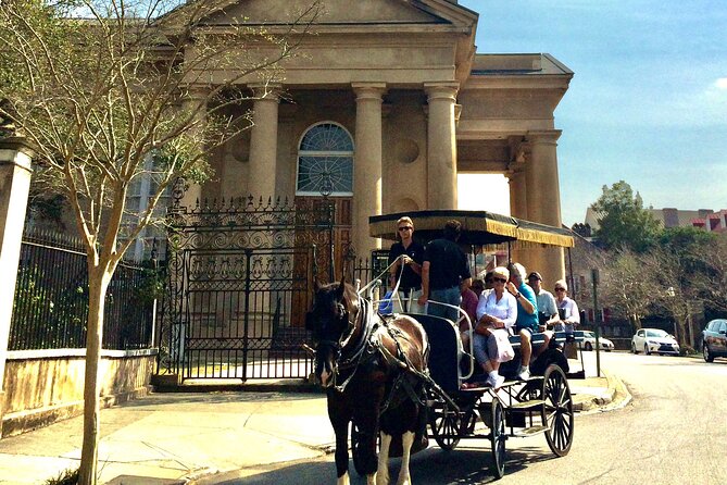 Charleston Horse & Carriage Historic Sightseeing Tour - Meeting Amigo, Ironsides, Grayman, or Chico
