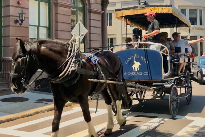 Charleston Horse & Carriage Historic Sightseeing Tour - Comfort, group size, and summer heat