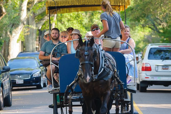 Charleston Horse & Carriage Historic Sightseeing Tour - Starting at Charleston City Market