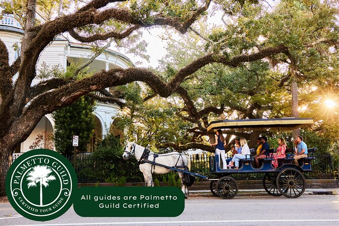 Charleston Horse-Drawn Carriage Tour: Explore Historic Charleston - A gentle way to meet Charleston’s old streets