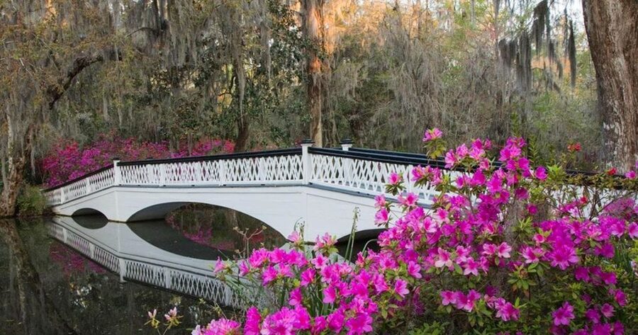 Charleston: Magnolia Plantation Entry & Tour with Transport - Who should book this experience?