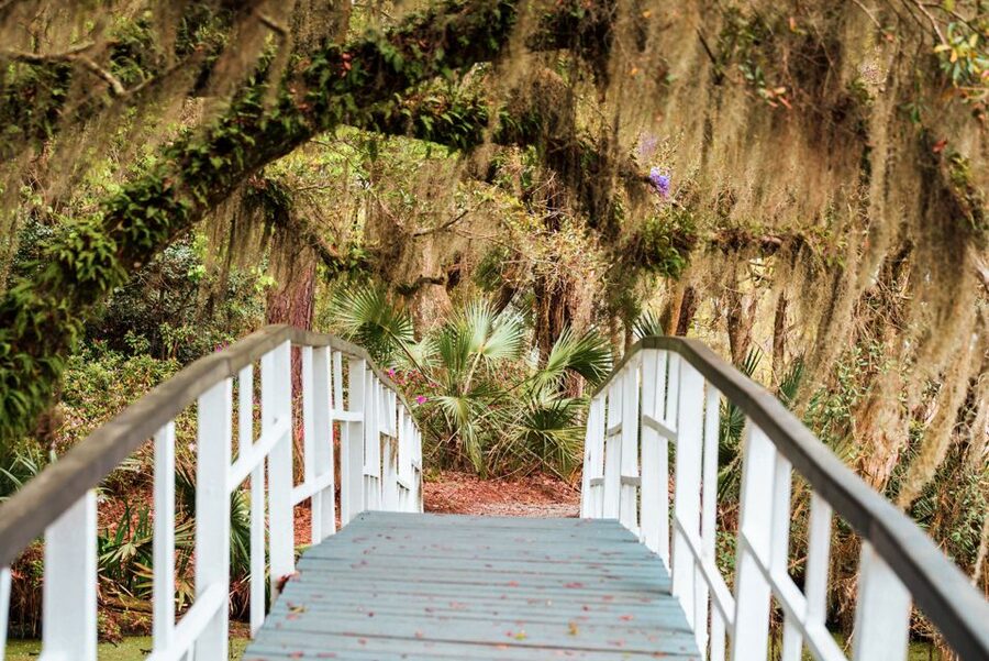 Charleston: Magnolia Plantation Entry & Tour with Transport - The 45-minute house tour at Drayton Home