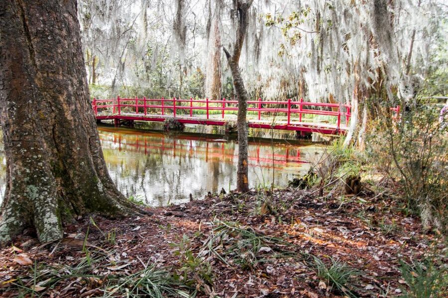 Charleston: Magnolia Plantation Entry & Tour with Transport - The nature tram through Audubon Swamp Gardens