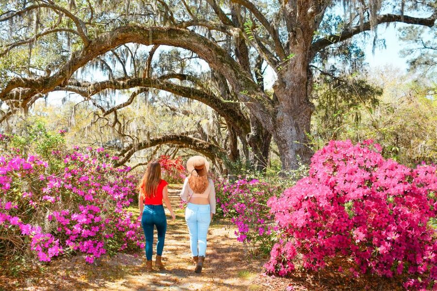 Charleston: Magnolia Plantation Entry & Tour with Transport - Slavery to Freedom and the Old African American Cabin