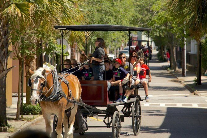Charleston's Historic Residential Horse and Carriage Tour - Two to three miles of Charleston’s residential streets