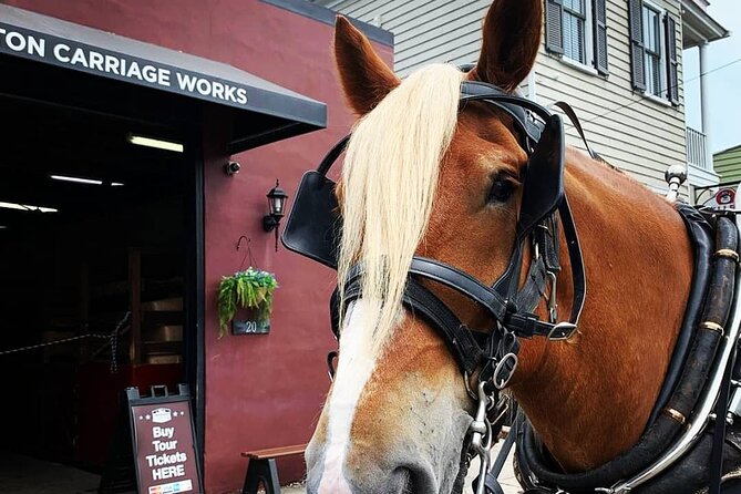 Charleston's Historic Residential Horse and Carriage Tour - Is the $50 price fair?