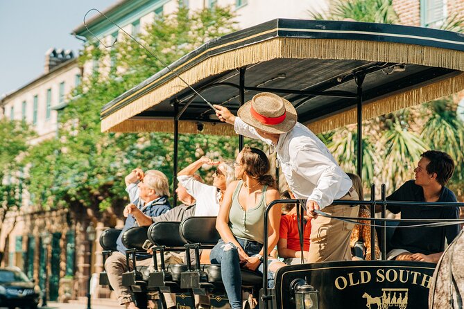 Charleston’s Old South Carriage Historic Horse & Carriage Tour - Mansions, piazzas, gardens, and iron gates