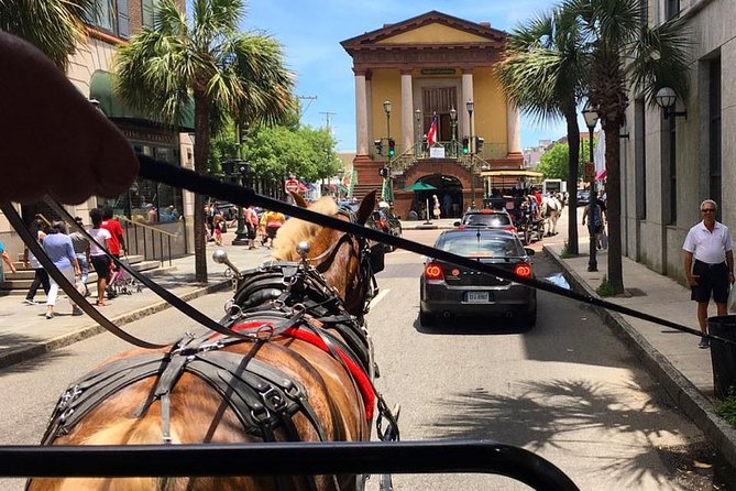Charleston’s Old South Carriage Historic Horse & Carriage Tour - Weather, comfort, and family details