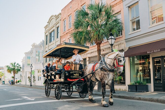 Charleston’s Old South Carriage Historic Horse & Carriage Tour - Who will enjoy this carriage tour most