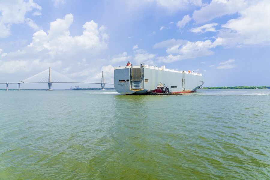 Charleston: Sightseeing Harbor Tour & Dolphin Watch - Dolphins, weather, and the feel of the ride
