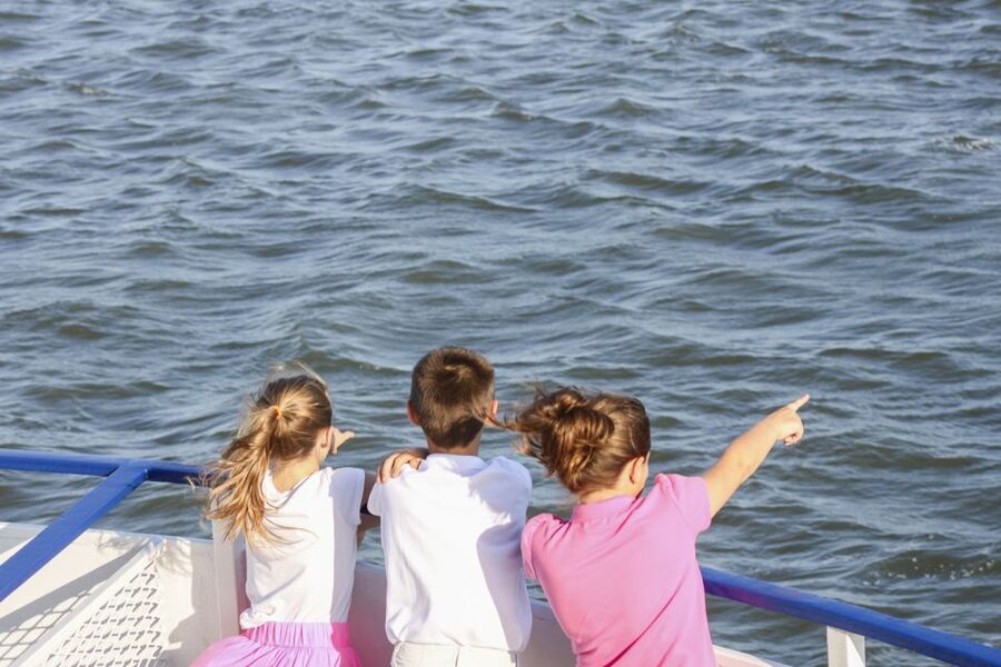 Charleston: Sightseeing Harbor Tour & Dolphin Watch - Fort Sumter and the meaning of the harbor