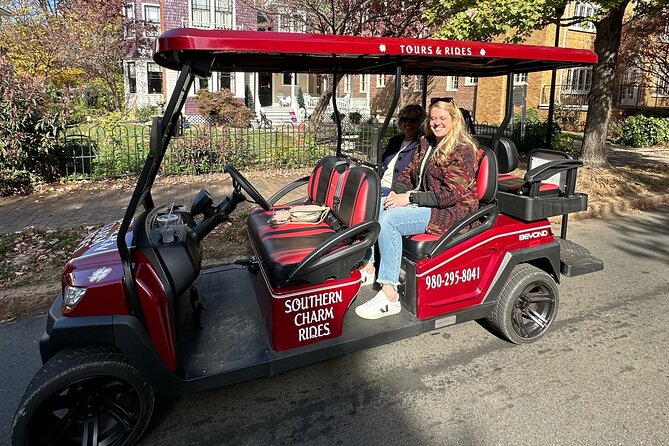 Charlotte's Ultimate Southern Charm Historical City Cart Tour - Romare Bearden Park and the city’s art