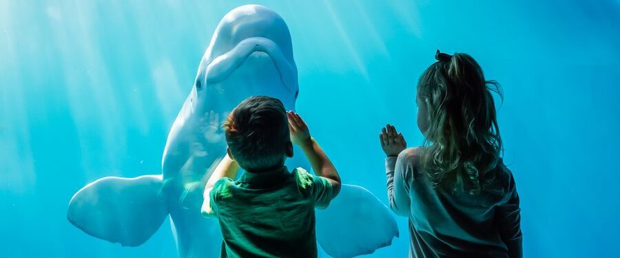 Chicago CityPASS®: Save up to 49% at 5 Top Attractions - Art Institute of Chicago rewards a slower pace
