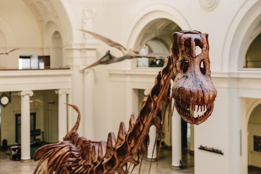Chicago CityPASS®: Save up to 49% at 5 Top Attractions - Adler Planetarium adds shows to the museum visit