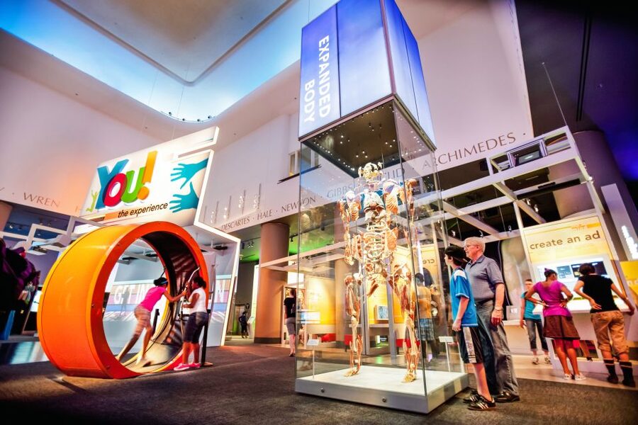 Chicago CityPASS®: Save up to 49% at 5 Top Attractions - Skydeck Chicago and the Willis Tower view