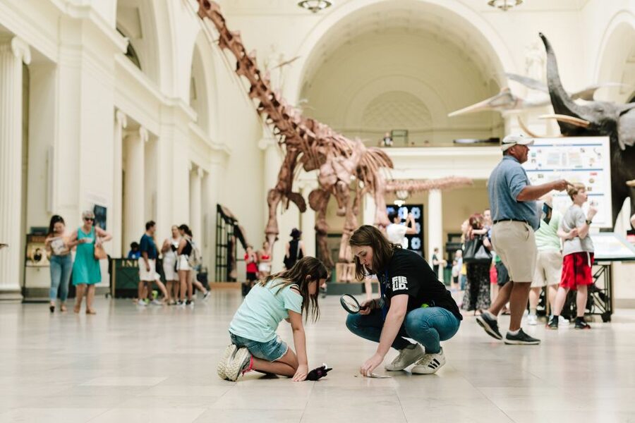 Chicago Explorer Pass: 2 to 7 Attractions including SkyDeck - Build a sensible three-day plan