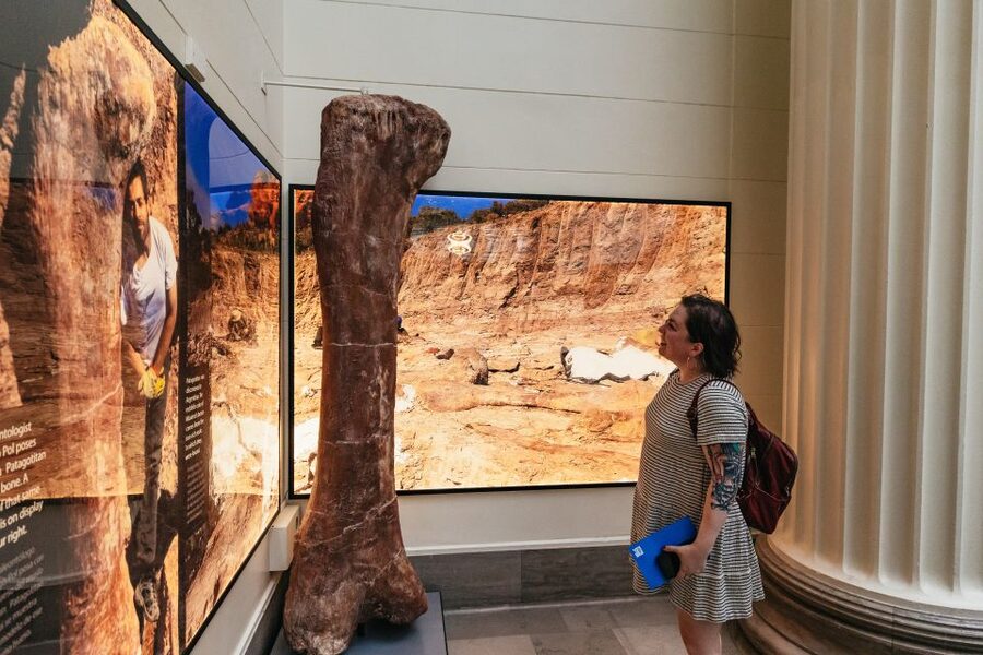 Chicago: Field Museum of Natural History Ticket or VIP Tour - Sue and Maximo make the Field Museum famous