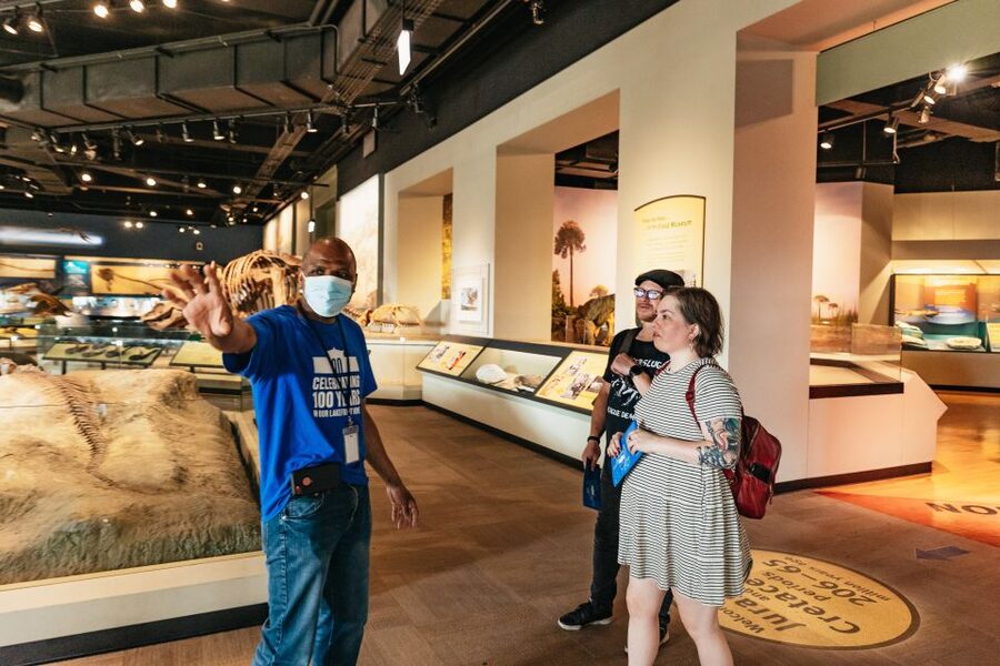 Chicago: Field Museum of Natural History Ticket or VIP Tour - Ancient America, Egypt, and a full-sized mastaba