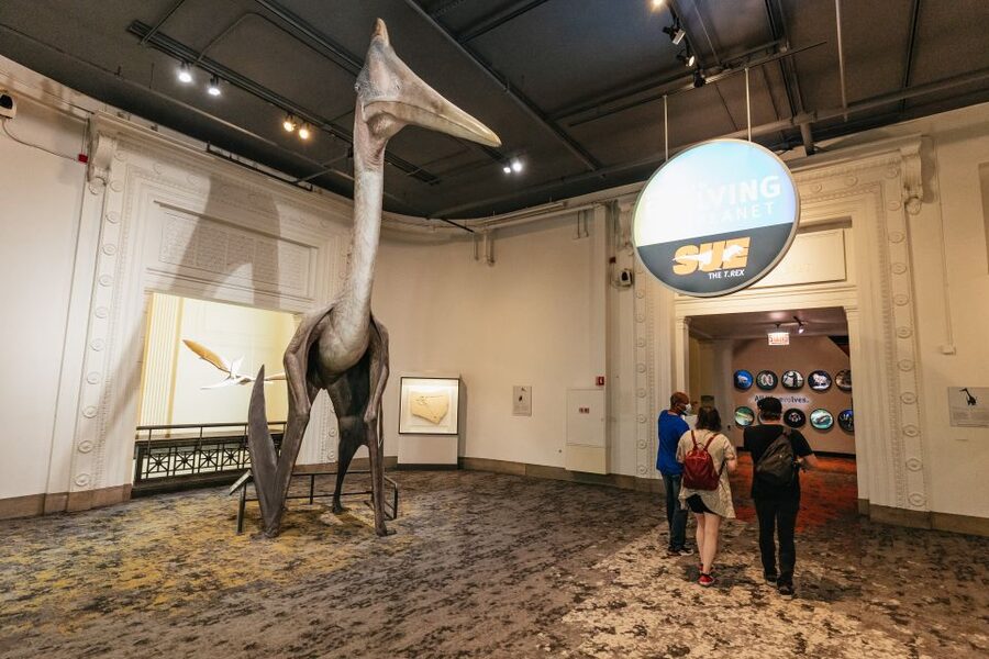 Chicago: Field Museum of Natural History Ticket or VIP Tour - Africa, the Lions of Tsavo, and difficult museum displays
