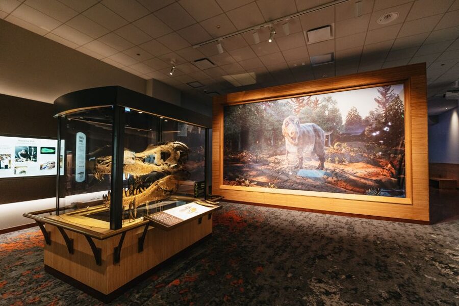 Chicago: Field Museum of Natural History Ticket or VIP Tour - How long should you allow?