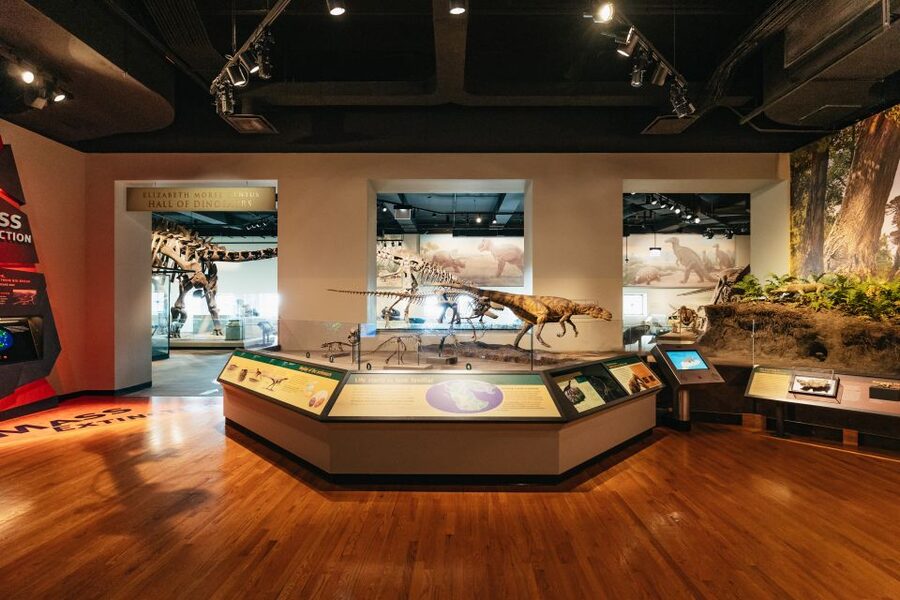 Chicago: Field Museum of Natural History Ticket or VIP Tour - Food, parking, and practical comfort