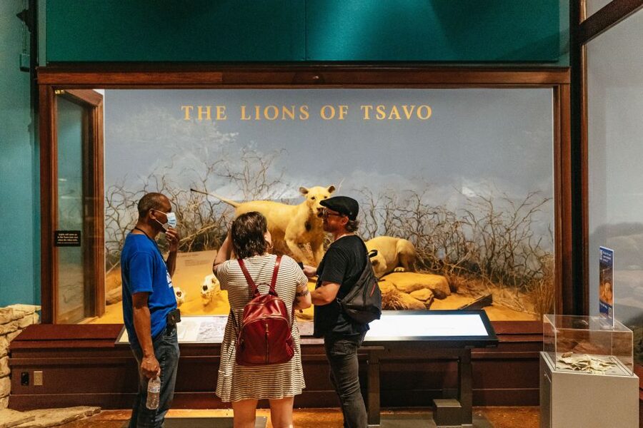 Chicago: Field Museum of Natural History Ticket or VIP Tour - Four ticket choices, four different kinds of museum day