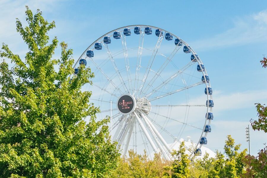 Chicago: Hop-on Hop-off Sightseeing Tour by Open-top Bus - Navy Pier and the lakefront