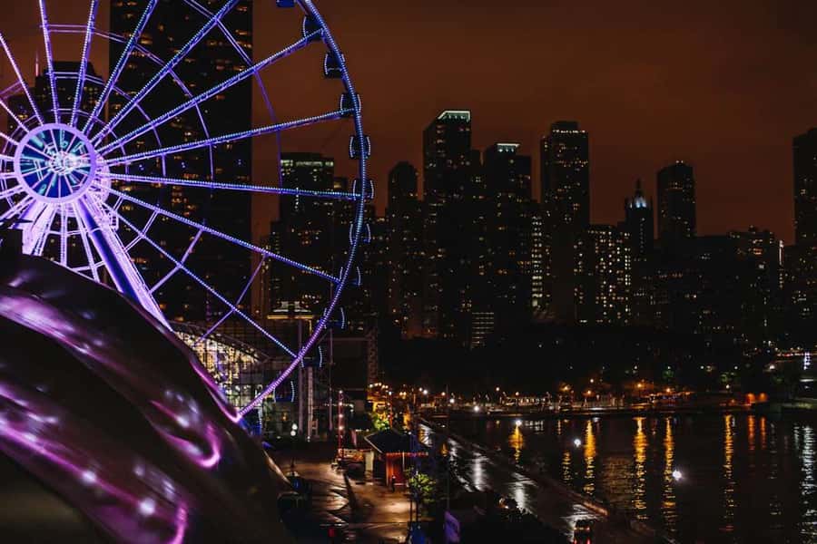 Chicago: Navy Pier Centennial Wheel Ticket - What you can see from the top