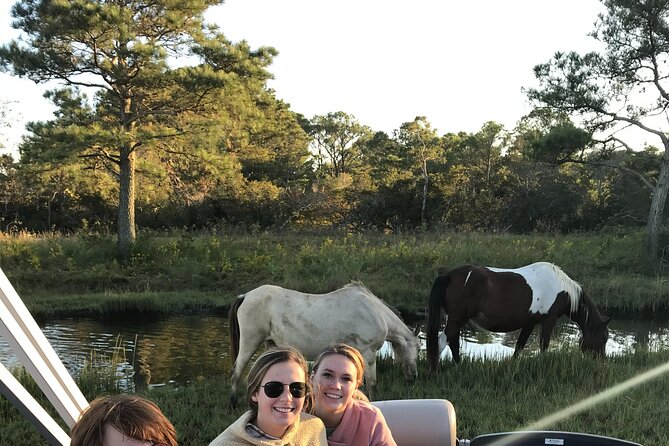 Chincoteague's Up The Bay Pony and Wildlife Tour by Boat - Searching the southern and northern ends of Assateague
