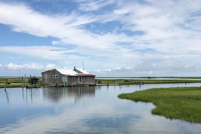 Chincoteague's Up The Bay Pony and Wildlife Tour by Boat - The Pony Swim and Assateague lighthouse