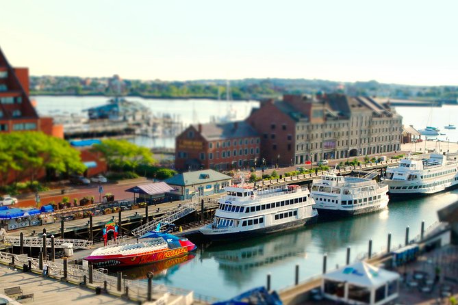 City Cruises Boston 90-Minute Harbor Sunset Sightseeing Cruise - Who will enjoy this cruise most