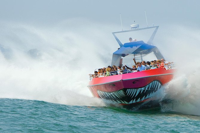 City Cruises Boston Codzilla High-Speed Thrill Boat Ride - Key points to know before boarding
