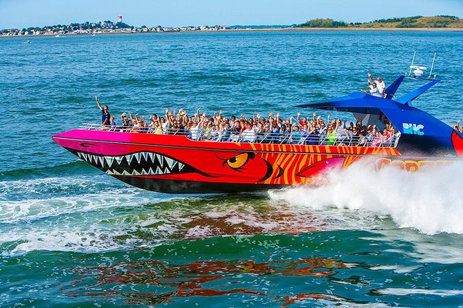 City Cruises Boston Codzilla High-Speed Thrill Boat Ride - How wet will you get?