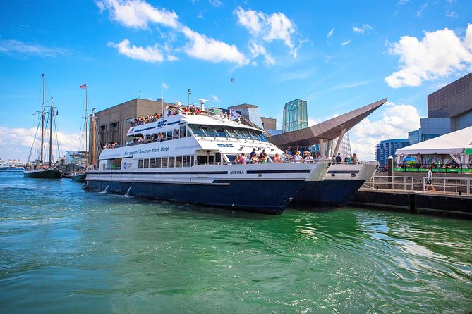 City Cruises Boston Whale Watching Cruise by High-Speed Boat - Leaving Long Wharf for the open bay