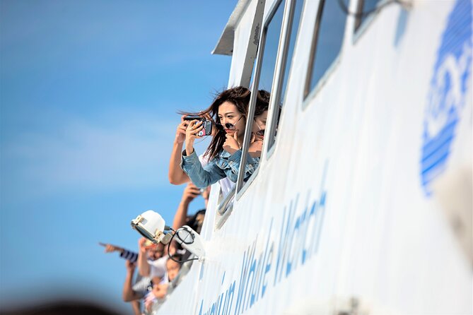 City Cruises Boston Whale Watching Cruise by High-Speed Boat - Whale sightings, with realistic expectations