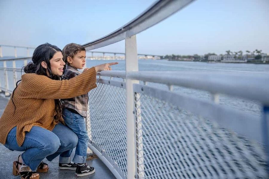 City Cruises San Diego: Best of the Bay Scenic Harbor Tour - The Coronado Bridge from the water