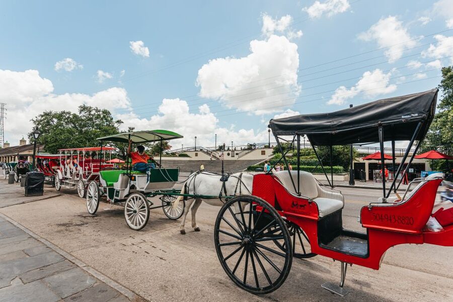 City Sightseeing New Orleans HOHO Bus Tour & Bookable Extras - Poydras, Lafayette Square, and the city’s grand avenues