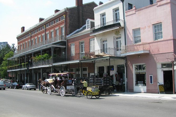 City Tour of New Orleans with Pickup - City Park, beignets, and the sculpture garden