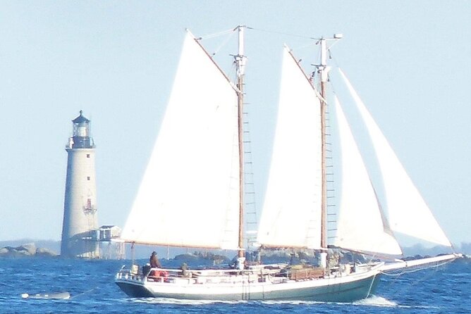Classic Tall Ship Cruise in Boston Harbor - Commentary, crew contact, and the hands-on touch