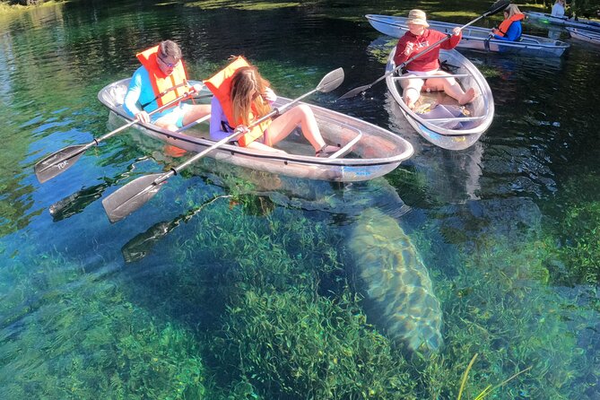 Clear Kayak Manatee Ecotour of Crystal River - Seeing Crystal River through a clear kayak