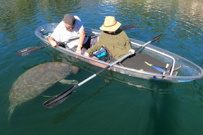 Clear Kayak Manatee Ecotour of Crystal River - The guides are the heart of the outing