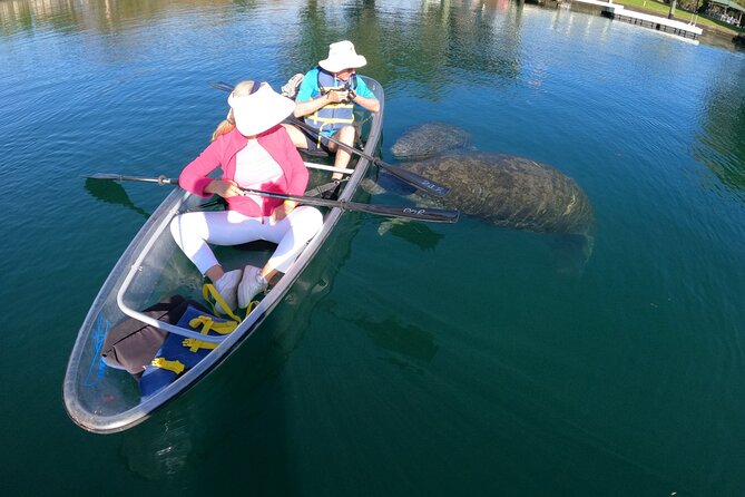 Clear Kayak Manatee Ecotour of Crystal River - What the clear bottom can and cannot do