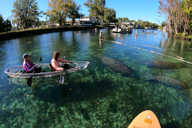 Clear Kayak Manatee Ecotour of Crystal River - Is $79 a fair price?